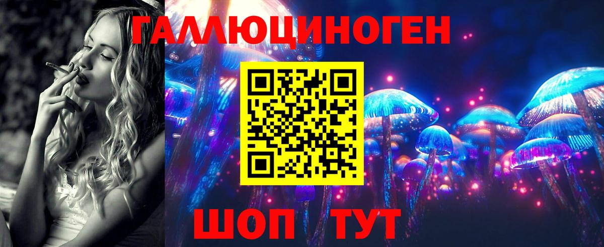 Фролово  Галлюциногенные грибы MAGIC MUSHROOMS  Вход с VPN  Галлюциногенные грибы мицелий 